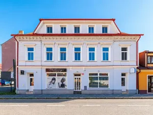 Prodej vily, České Budějovice, Chelčického, 489 m2
