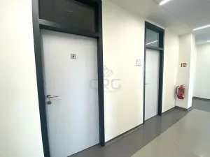 Pronájem kanceláře, Brno - Štýřice, Pražákova, 21 m2