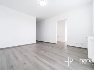 Pronájem bytu 1+1, Olomouc, Foerstrova, 44 m2