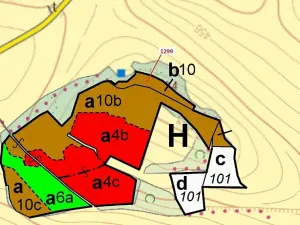 Dražba lesa, Stebno, 2275 m2