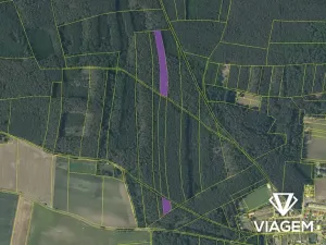 Prodej podílu lesa, Libotenice, 2048 m2
