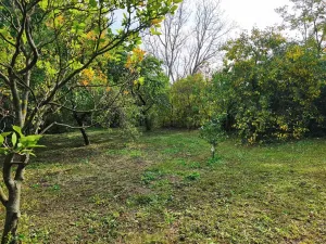 Prodej rodinného domu, Čáslav, Čeplova, 110 m2