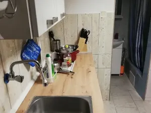 Pronájem bytu 1+1, Brno, V aleji, 40 m2