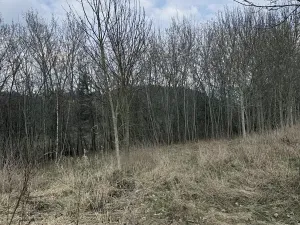 Dražba rodinného domu, Žďárek, 236 m2
