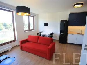 Pronájem bytu 2+kk, Praha - Nusle, Ctiradova, 52 m2