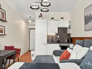 Prodej bytu 1+kk, Praha - Vinohrady, Balbínova, 23 m2