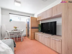 Prodej bytu 1+kk, Brno, Karla Kryla, 31 m2