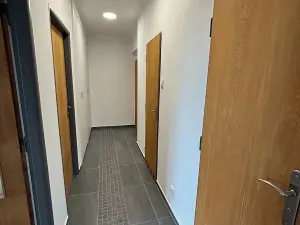 Pronájem bytu 2+1, Praha - Střešovice, Střešovická, 54 m2