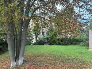 Pronájem bytu 2+1, Praha - Střešovice, Střešovická, 54 m2