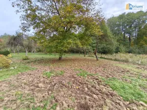 Pronájem zemědělské usedlosti, Ondřejov, Brožkova, 80 m2