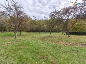Pronájem zemědělské usedlosti, Ondřejov, Brožkova, 80 m2