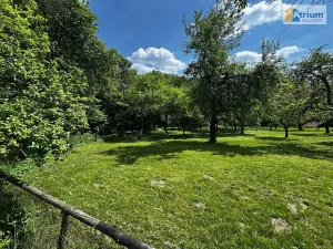 Pronájem zemědělské usedlosti, Ondřejov, Brožkova, 80 m2