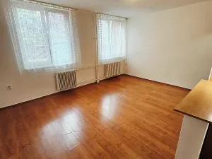 Pronájem bytu 1+1, Litoměřice, Michalovická, 35 m2