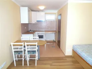 Pronájem bytu 1+kk, Zlín, třída Svobody, 21 m2