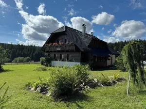Prodej ubytování, Nové Hutě, 300 m2