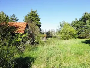 Prodej zahrady, Mělník, 9817 m2