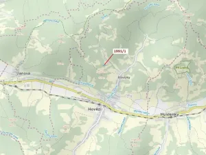 Dražba lesa, Hovězí, 2438 m2
