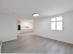 Prodej bytu 3+kk, Praha - Karlín, Peckova, 93 m2
