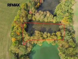 Prodej rybníku, Kožlany, 2200 m2