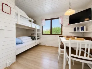 Prodej chaty, Třebechovice pod Orebem, Ambrožova, 20 m2