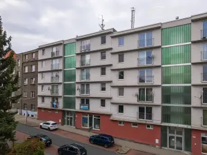 Prodej bytu 2+1, Plzeň, Černická, 65 m2