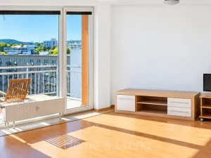 Pronájem bytu 1+kk, Brno, Božetěchova, 38 m2