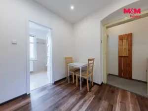 Pronájem bytu 1+1, Karlovy Vary - Stará Role, Holečkova, 33 m2