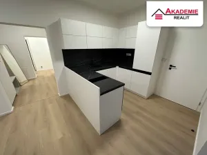 Pronájem bytu 4+kk, Brno, Svatopluka Čecha, 119 m2