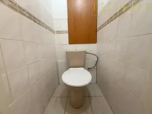 Prodej bytu 1+1, Český Těšín, Hrabinská, 43 m2