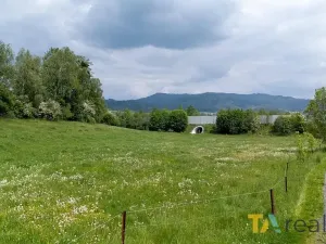 Prodej pozemku pro bydlení, Návsí, 1359 m2