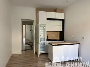 Pronájem bytu 2+kk, Praha - Žižkov, Bořivojova, 54 m2