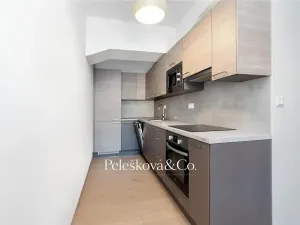 Pronájem bytu 1+kk, Praha - Holešovice, Jankovcova, 38 m2