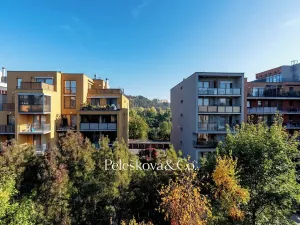 Pronájem bytu 1+kk, Praha - Holešovice, Jankovcova, 38 m2