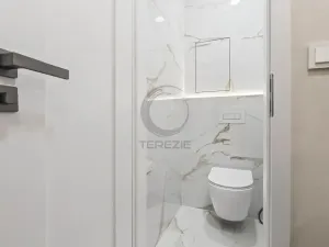 Prodej bytu 3+kk, Praha - Vinohrady, Nad Primaskou, 60 m2