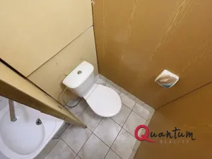 Prodej bytu 1+1, Hradec Králové, třída Edvarda Beneše, 42 m2