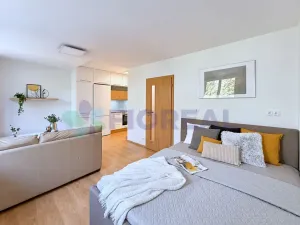 Prodej bytu 1+kk, Praha - Michle, U michelského mlýna, 32 m2