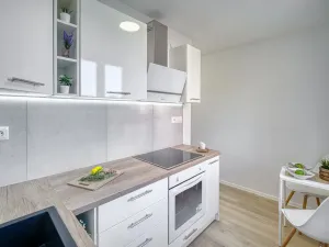 Pronájem bytu 2+1, Most, Zdeňka Fibicha, 55 m2