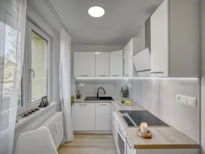 Pronájem bytu 2+1, Most, Zdeňka Fibicha, 55 m2
