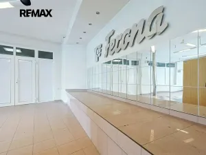 Pronájem obchodního prostoru, Plzeň, Na Roudné, 150 m2