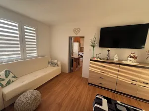 Pronájem bytu 1+1, Bílina, Sídliště Za Chlumem, 35 m2