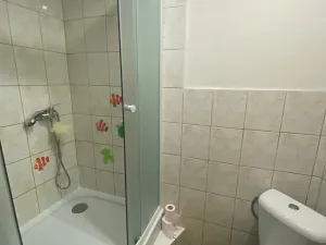 Pronájem bytu 1+1, Žatec, náměstí 5. května, 50 m2