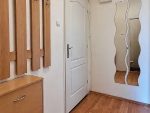 Pronájem bytu 1+1, Ostrava, Korunní, 45 m2