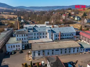 Pronájem výrobních prostor, Jílové - Modrá, 260 m2
