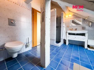 Prodej bytu 3+kk, Písek - Vnitřní Město, Fráni Šrámka, 190 m2