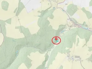 Prodej podílu lesa, Buk, 3198 m2