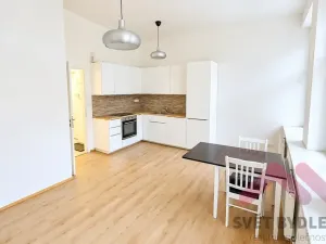 Pronájem bytu 2+kk, Praha - Žižkov, Kubelíkova, 45 m2