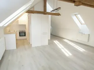 Pronájem bytu 2+kk, Plzeň, Bolevecká náves, 66 m2