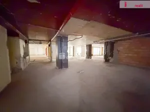 Pronájem obchodního prostoru, Praha - Nové Město, Vodičkova, 800 m2