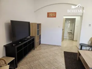 Prodej bytu 3+1, Teplice, U Hadích lázní, 105 m2