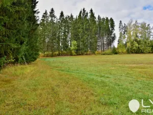 Prodej lesa, Řečice, 9184 m2